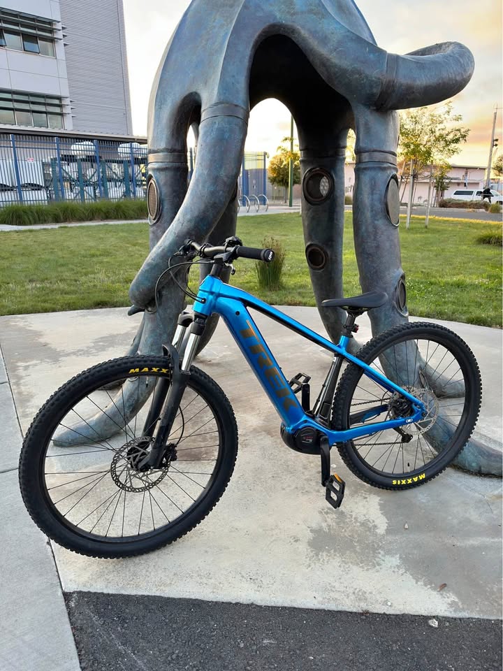 2024 Trek Powerfly 4 24”